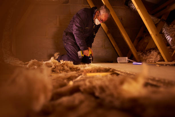 Best Insulation Maintenance and Repair in South Coventry, CT